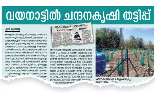 ചന്ദന കൃഷി: പലരും നിക്ഷേപമിറക്കിയത് യാഥാർഥ്യമറിയാതെ
