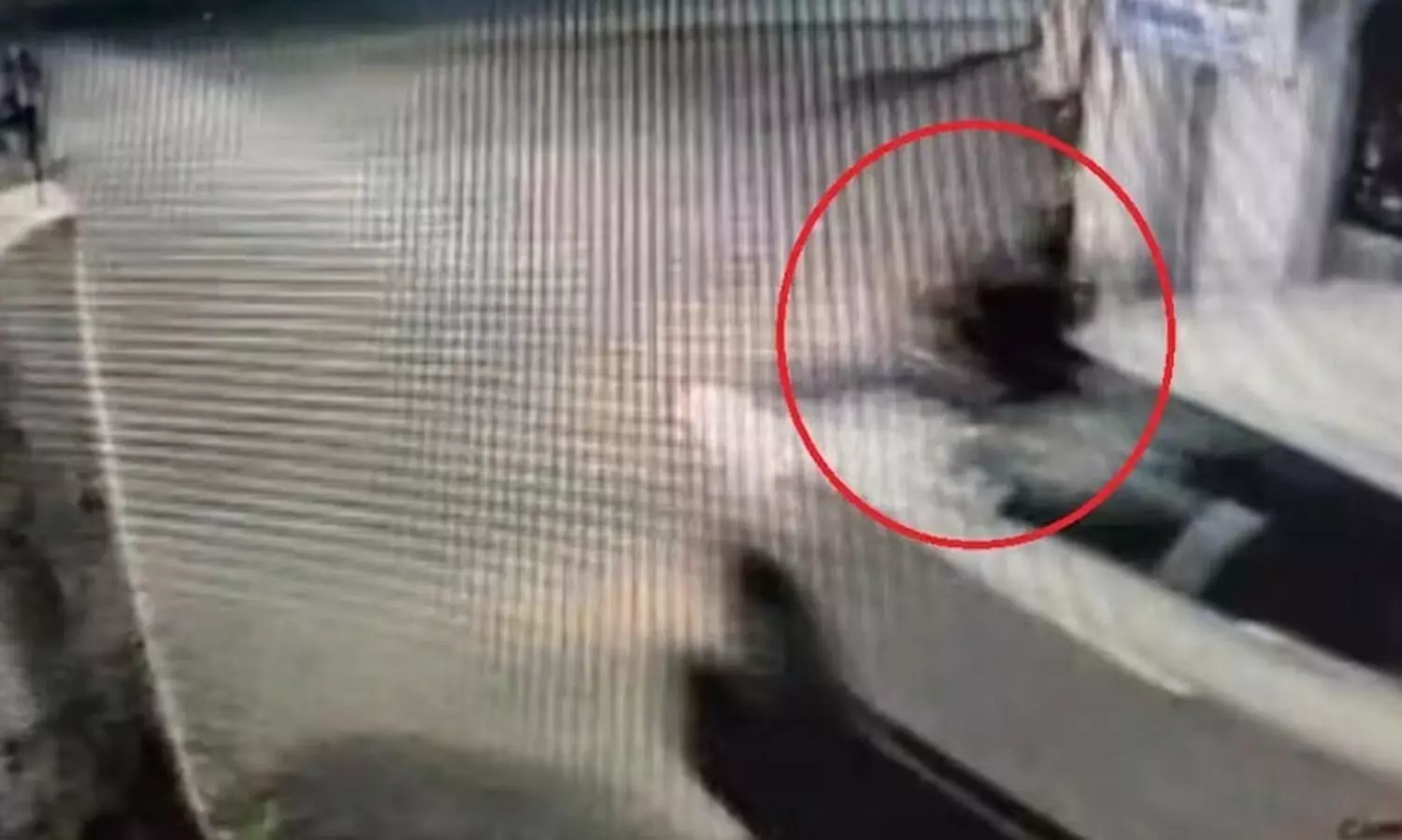 ലഹരി ഉപയോഗം ചോദ്യം ചെയ്തു; നാട്ടുകാരനെ ബോണറ്റിൽ ഇരുത്തി ഒരു കിലോമീറ്റർ കാറോടിച്ച് ലഹരി സംഘം; ഒരാളെ പിടികൂടി പൊലീസിൽ ഏൽപിച്ചു