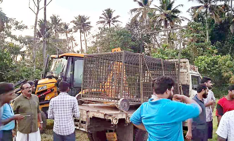 പുലിയെ പിടികൂടാൻ കൊരട്ടിയിൽ കൂട് എത്തി പുലിയെ പിടികൂടാൻ കൊരട്ടിയിൽ കൂട് എത്തി