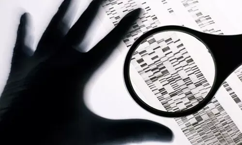 ഷാ​ബ ശ​രീ​ഫ് വ​ധ​ക്കേ​സി​ൽ ഇഴകീറി പരിശോധന; ദുരൂഹത നീക്കിയത് മു​ടി​യു​ടെ ഡി.​എ​ൻ.​എ