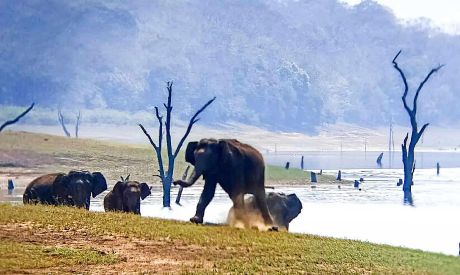 ജ​ല​മാ​ണ് ജീ​വ​ൻ... ജ​ല​മാ​ണ് നിലനിൽപ്പ്