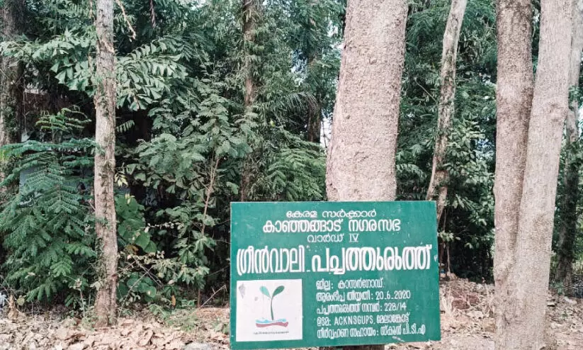 പച്ചപിടിച്ച് ജില്ല പച്ചപിടിച്ച് ജില്ല