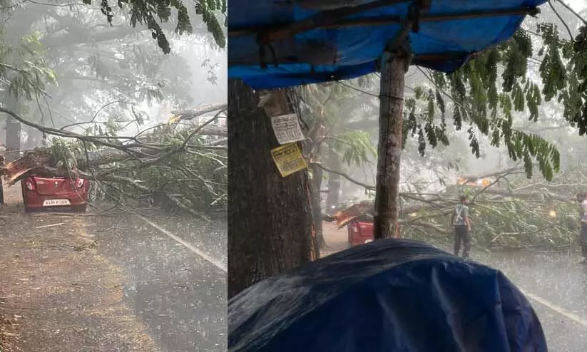 Heavy Rain Heavy Rain