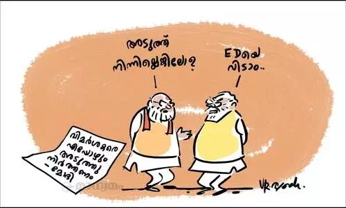 അല്ലപിന്നെ!