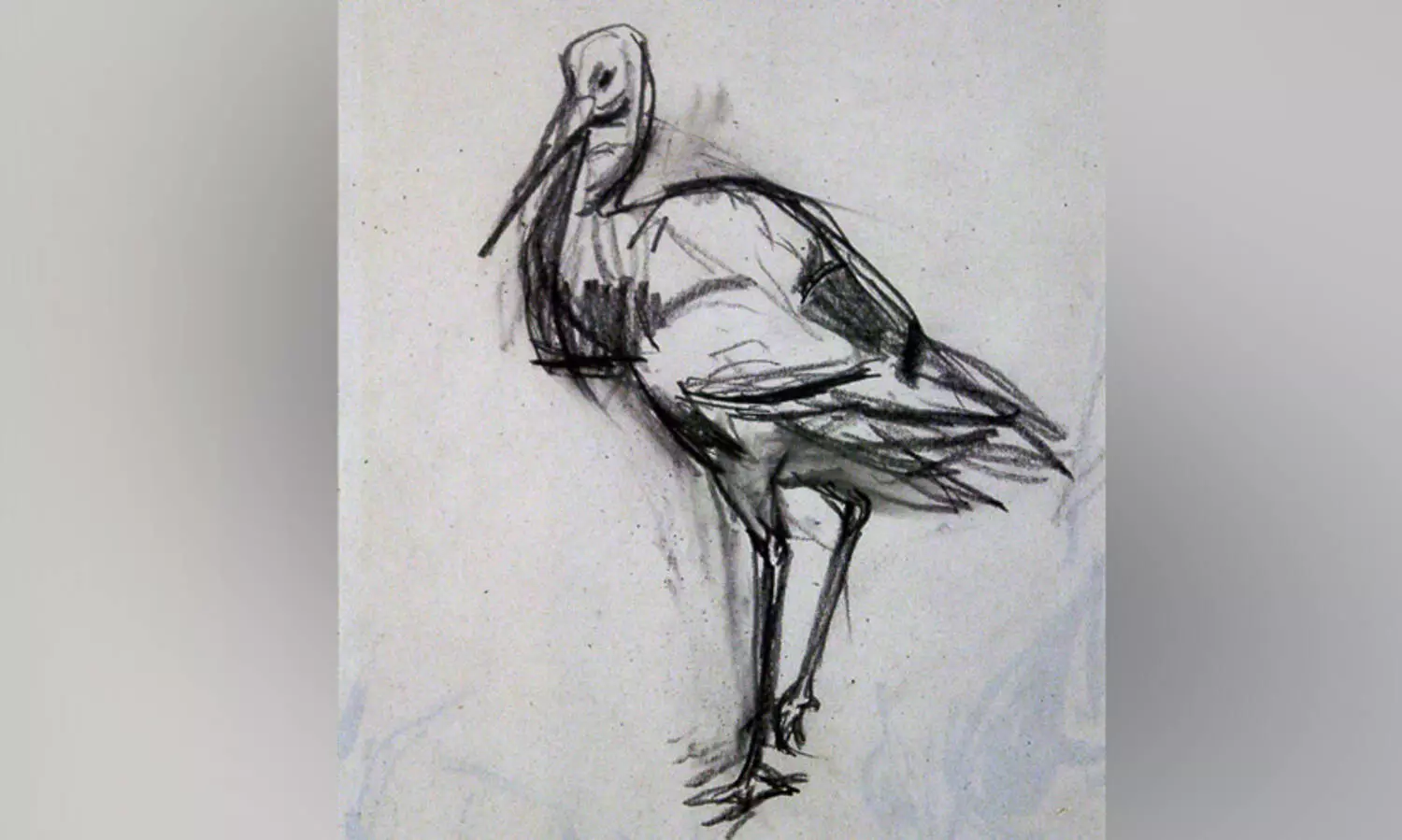 ഒരു കൊറ്റിയായ് മാറിയ ഞാൻ