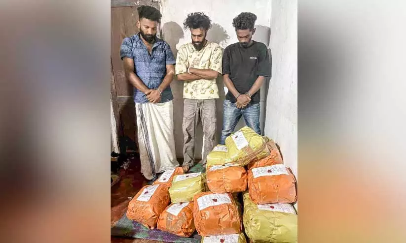 ഐക്കരപ്പടിയിലെ കഞ്ചാവ് വേട്ട; പ്രതികള് റിമാന്ഡില് ഐക്കരപ്പടിയിലെ കഞ്ചാവ് വേട്ട; പ്രതികള് റിമാന്ഡില്