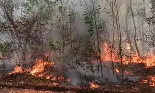 കോ​റോം നെ​ല്ലി​യാ​ട്ട് അ​ഗ്നി​ബാ​ധ; നി​ര​വ​ധി ഏ​ക്ക​ർ സ്ഥ​ലം ക​ത്തിന​ശി​ച്ചു
