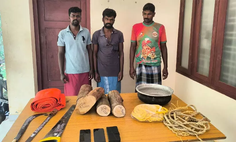 Kadampara sandalwood theft
