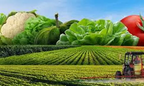 കൊച്ചിയിൽ കൃഷിയിറക്കാൻ സ്വന്തമായി ഭൂമി വേണ്ട; മറ്റുള്ളവരുടെ ഭൂമിയിൽ കൃഷിചെയ്ത് നേട്ടം കൊയ്യുന്നത് 8,873 ക​ർ​ഷ​ക​ർ