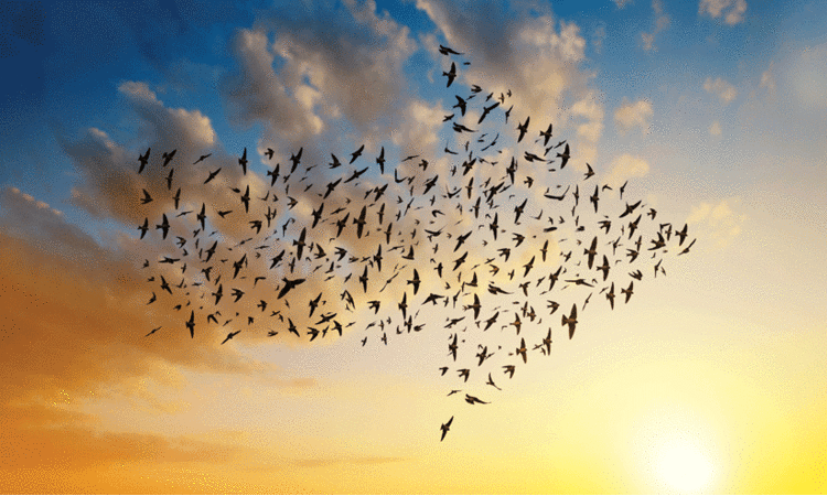 ഏത് മേഖലയിലാണ് ചോദ്യങ്ങൾ ഉന്നയിക്കാതെ സ്ത്രീകൾക്ക് അനുമതിയും അവകാശവും ലഭ്യമായിട്ടുള്ളത്?, സ്ത്രീയും പുരുഷനും തുല്യരോ എന്ന ചോദ്യവും സംവാദങ്ങളും ഇനിയും എത്ര നാൾ?