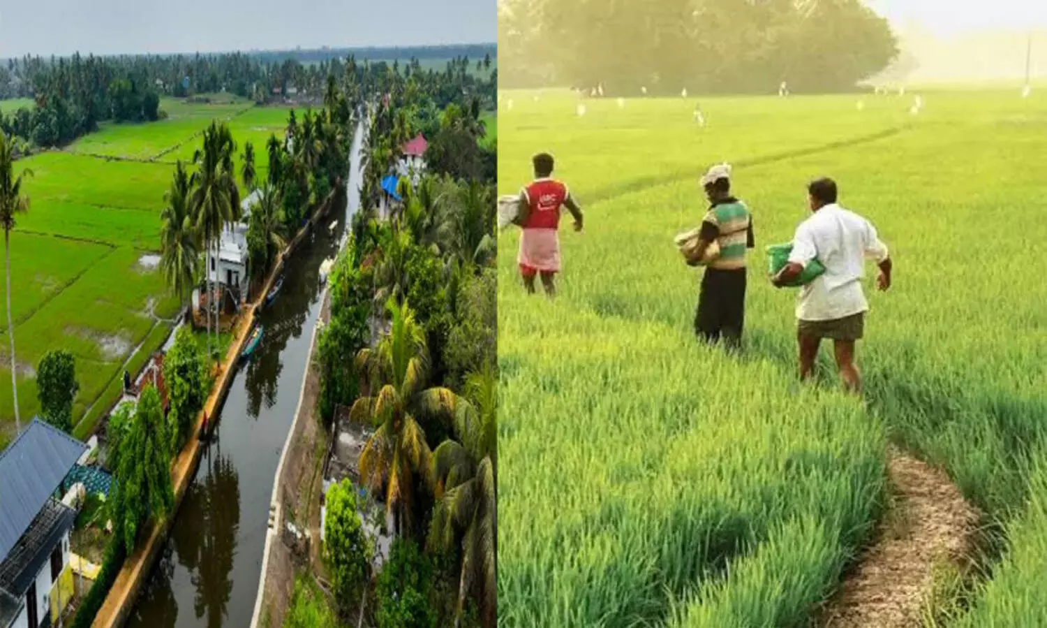 കുട്ടനാട് പാക്കേജ് : ആസൂത്രണ ബോർഡിലെ റിപ്പോർട്ടിലെ ശിപാർശ നടപ്പാക്കും - മുഖ്യമന്ത്രി