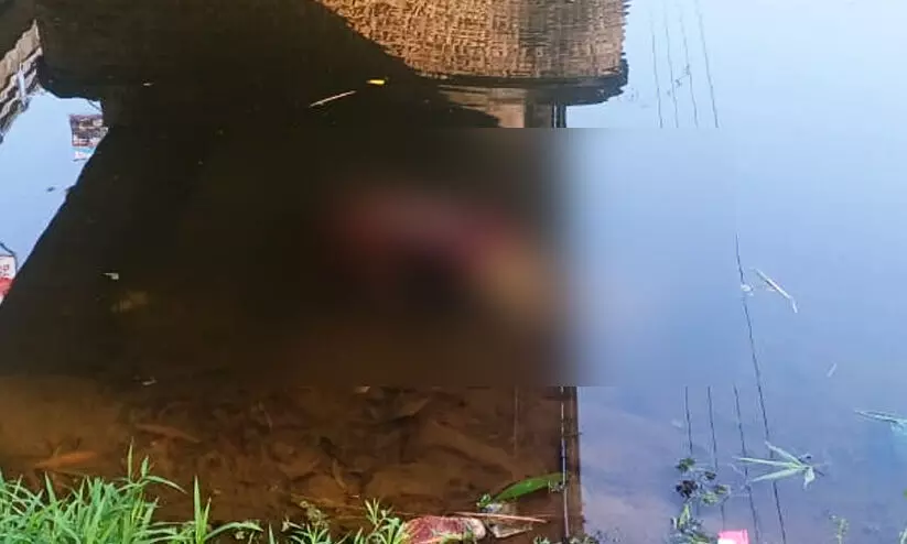 Hotel Worker Dead Body Hotel Worker Dead Body