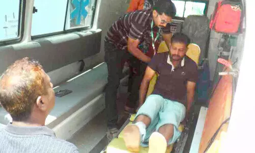 അ​ല​ന​ല്ലൂ​രിൽ തെ​രു​വു​നാ​യു​ടെ ക​ടി​യേ​റ്റ് നാ​ലു​പേ​ർ​ക്ക് പ​രി​ക്ക്