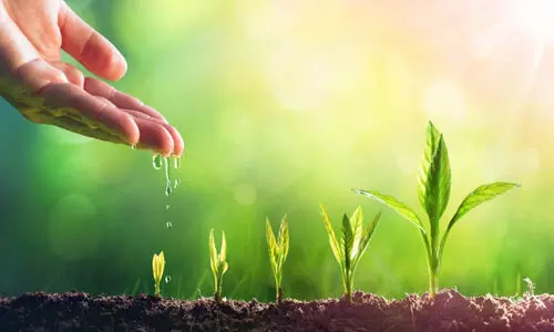 പമ്പാ നദീതടത്തിലെ കൃഷി: അവഗണിച്ച്​ കൃഷി വകുപ്പ്