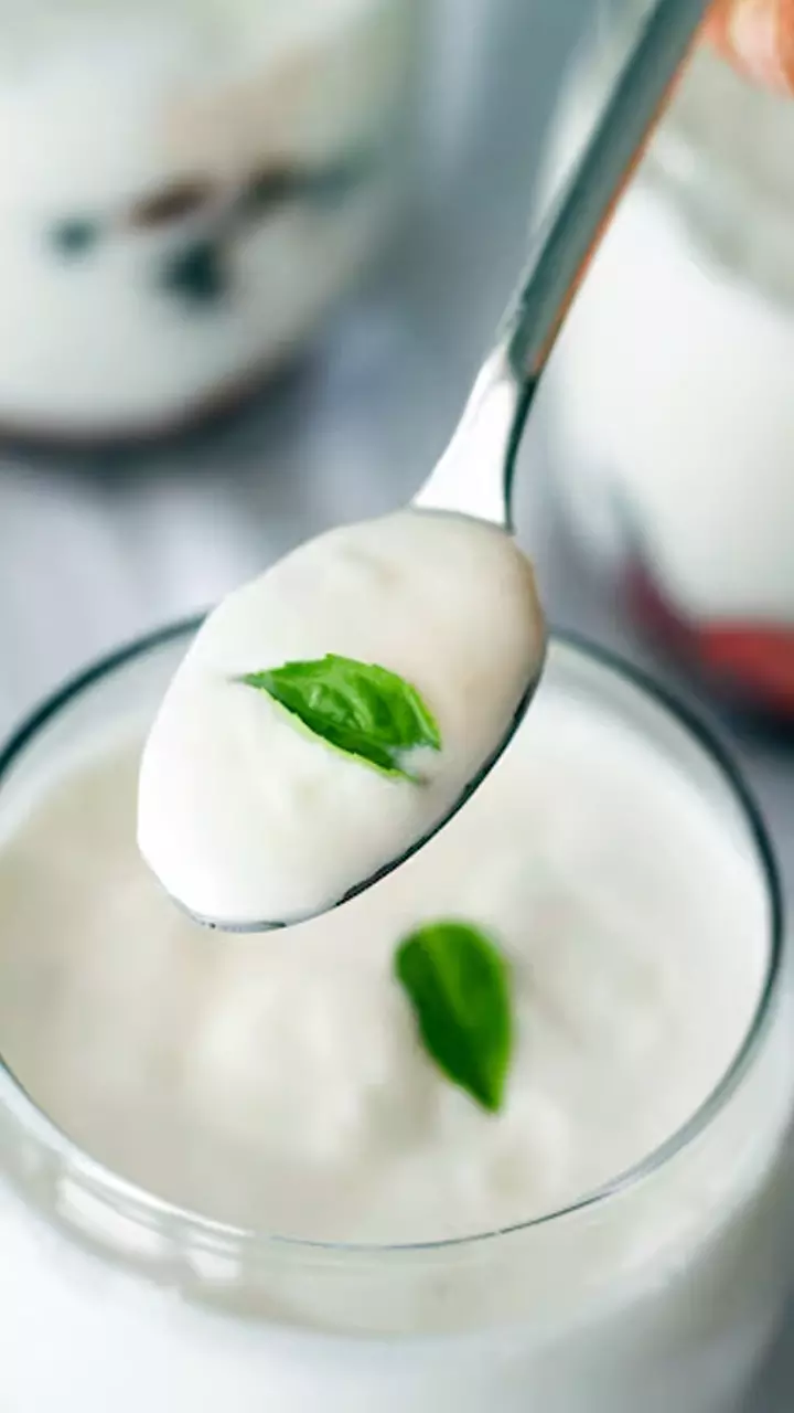 കട്ടത്തൈരും പാ​ലു​ൽ​പ​ന്ന​ങ്ങ​ളും വയറിന് നല്ലതാണോ? എന്താണ് പ്രോ​ബ​യോ​ട്ടി​ക് ഭക്ഷണം..