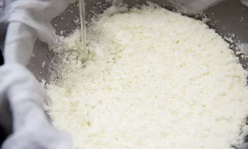 ഭക്ഷ്യ പദാർഥങ്ങളിൽ മായം ചേർക്കുന്നുവെന്ന് പരാതി; പാ​ൽ​ക്ക​ട്ടി​യി​ൽ ബാക്ടീരിയ; ബം​ഗ​ളൂ​രു​വി​ല്‍ ഭക്ഷ്യ വകുപ്പിൻറെ വ്യാപക പരിശോധന