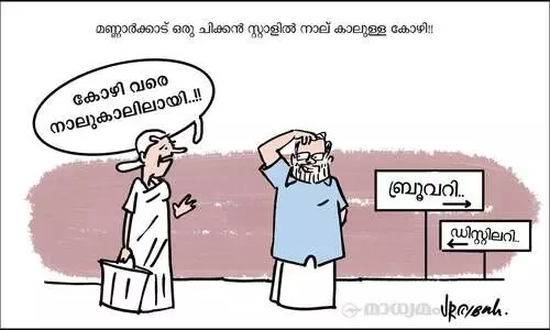 നാല് കാലിൽ!