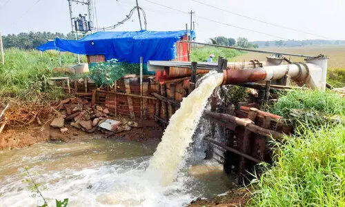 കൊയ്ത്തിന് തയാറായ കൃഷിയിടങ്ങളിൽ പമ്പിങ് തുടങ്ങി