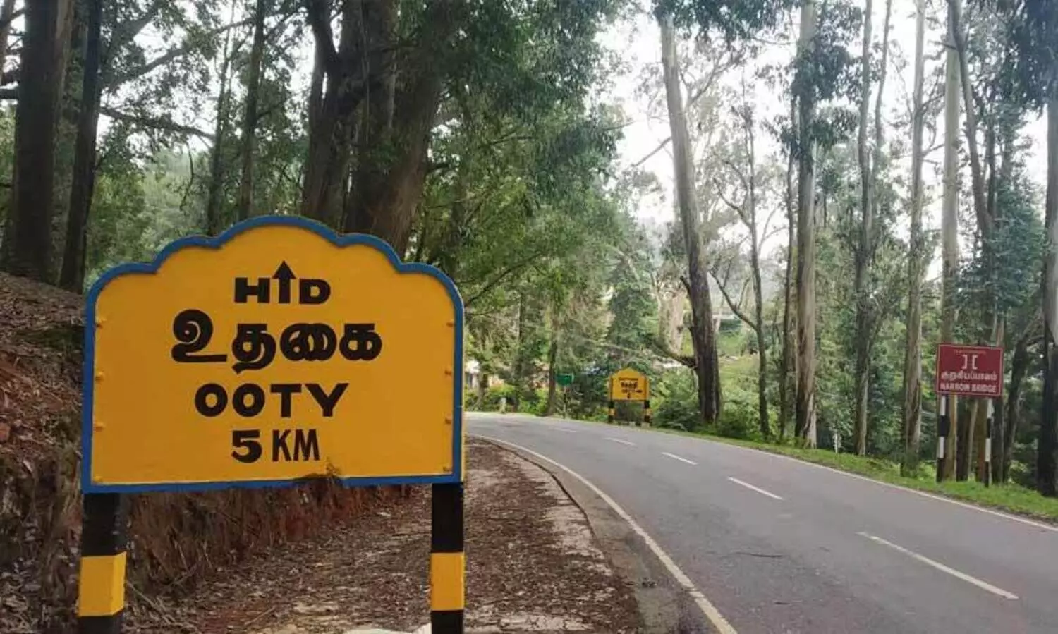 ഊട്ടിയിലേക്കുള്ള ഇ-പാസ് നിയന്ത്രണം: നീലഗിരിയിൽ ബുധനാഴ്ച രാവിലെ മുതൽ 24 മണിക്കൂർ ഹർത്താൽ