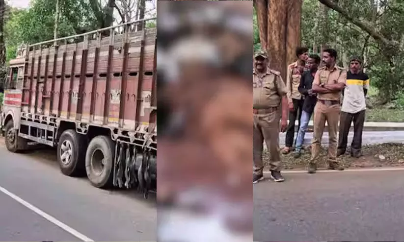 കാട്ടിനുള്ളിൽ ലോറി: ചത്ത ആടുകളെ കാട്ടിലെറിഞ്ഞ സംഘം പിടിയിൽ കാട്ടിനുള്ളിൽ ലോറി: ചത്ത ആടുകളെ കാട്ടിലെറിഞ്ഞ സംഘം പിടിയിൽ