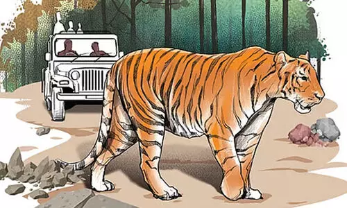 ‘ആരാണ്​ കാട്ടിലെ ക്രൂരന്മാർ​’ വനത്തിൽ വന്യമൃഗങ്ങളെ ക്രൂരമായി മുറിവേൽപിക്കുന്നു