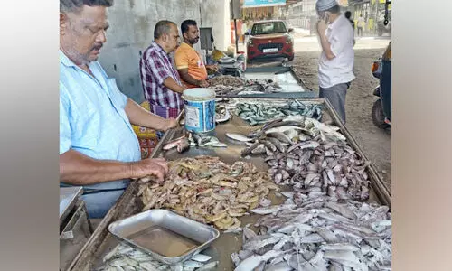 പെരുന്നാൾ വിപണി; മത്സ്യങ്ങളുടെ വരവറിയിച്ചിട്ടും കോഴിവിലയിൽ ചാഞ്ചാട്ടം
