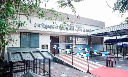 തെരുവുനായ്​ നിയന്ത്രണം സാധ്യമാകാൻ ഇനിയും കാത്തിരിക്കണം