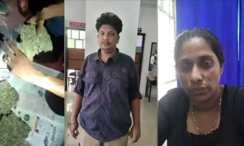ഒന്നര കോടിയുടെ ഹൈബ്രിഡ് കഞ്ചാവുമായി രണ്ടുപേർ കസ്റ്റഡിയിൽ; സിനിമാ താരങ്ങൾക്ക് ലഹരി വസ്തുക്കൾ നൽകാറുണ്ടെന്ന് മൊഴി