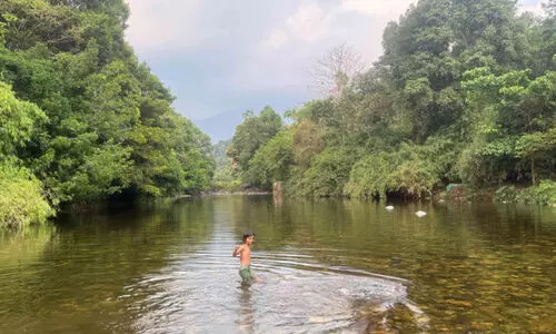 സ​ഞ്ചാ​രി​ക​ളു​ടെ ഇ​ട​ത്താ​വ​ള​മാ​യി ക​രി​യം കാ​പ്പി​ലെ ചീ​ങ്ക​ണ്ണി​പ്പു​ഴ​യോ​രം