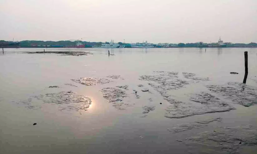 എക്കൽ നിറഞ്ഞ് കായൽ; ബോട്ട് സർവിസ് നിലച്ചു, ദുരിതം പേറി യാത്രികർ എക്കൽ നിറഞ്ഞ് കായൽ; ബോട്ട് സർവിസ് നിലച്ചു, ദുരിതം പേറി യാത്രികർ