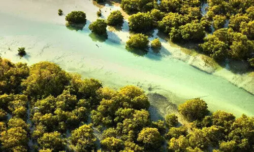 പ്ര​കൃ​തി സം​ര​ക്ഷ​ണ കേ​ന്ദ്ര​ങ്ങ​ളി​ൽ പ​ട്രോ​ളി​ങ് ഊ​ർ​ജി​ത​മാ​ക്കി മ​ന്ത്രാ​ല​യം