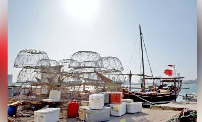 മ​ത്സ്യ​ബ​ന്ധ​ന നി​രോ​ധ​നം പു​നഃ​പ​രി​ശോ​ധി​ക്ക​ണം