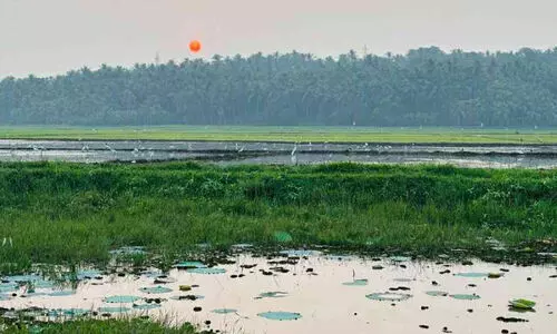 ഫെഡൽ പോയിന്റുകൾ, ഏ​റു​മാ​ടം, സെൽഫി പോയന്റുകൾ: ഫാം ടൂറിസത്തിനൊരുങ്ങി ചിരണ്ടത്തൂർ ചിറ; നേട്ടം കർഷകർക്ക്; ആദ്യ ഘട്ടത്തിൽ ഒരു കോടിയുടെ നിർമാണ പ്രവർത്തനങ്ങൾ