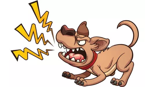 തെരുവുനായയുടെ ആക്രമണം​; മാവേലിക്കരയിൽ   12 പേർക്ക്​ കടിയേറ്റു