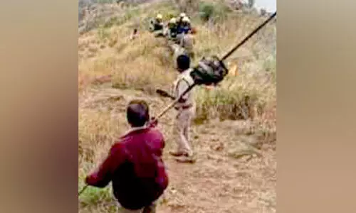 കടന്നൽ കു​ത്തേ​റ്റ് വി​നോ​ദ​സ​ഞ്ചാ​രി മ​രി​ച്ച സൂ​ചി​മല വ്യൂ ​പോ​യന്റ് താ​ൽ​ക്കാ​ലി​ക​മാ​യി അ​ട​ച്ചു; മലയിൽ കടന്നൽ സാന്നിധ്യം