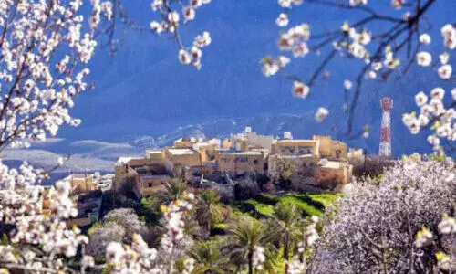 വി​ക​സ​ന കു​തി​പ്പി​നൊ​രു​ങ്ങി വ​കാ​ൻ ഗ്രാ​മം