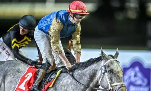 ദു​​ബൈ വേ​ൾ​ഡ്​ ക​പ്പി​ൽ ഖത്തറിന്റെ സൂപ്പർ ഹിറ്റ് ഷോ