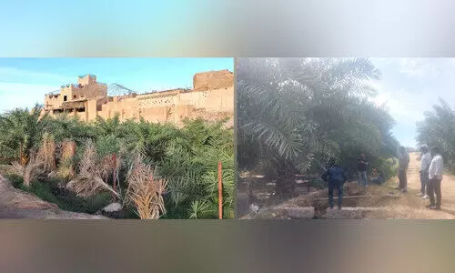 സ​ന്ദ​ർ​ശ​ക​രെ ആ​ക​ർ​ഷി​ച്ച് ഐ​ൻ അ​ൽ ജാ​ബ​രി​യ ഉ​റ​വ