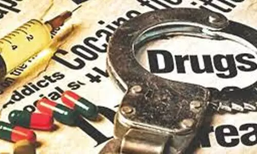 കഞ്ചാവുപയോഗത്തിന് ഏഴുപേരെ അറസ്റ്റു ചെയ്തു