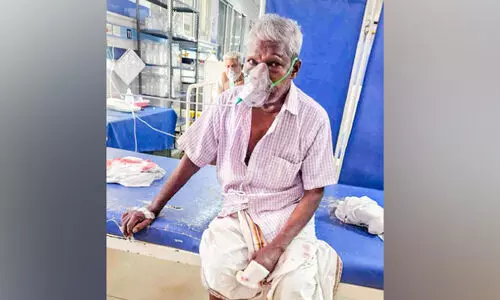 തെരുവു നായയുടെ കടിയേറ്റ് ഏ​ഴ് പേ​ർ​ക്ക് പ​രി​ക്ക്