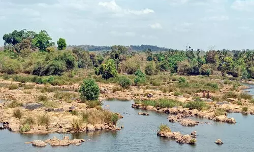 കബനി നദി കടന്ന് ലഹരി വസ്തുക്കളുടെ ഒഴുക്ക്