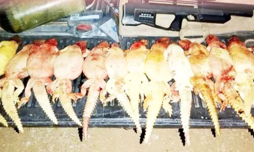 ഉ​ടു​മ്പി​നെ വേ​ട്ട​യാ​ടി​യ സം​ഘം അ​റ​സ്റ്റി​ൽ