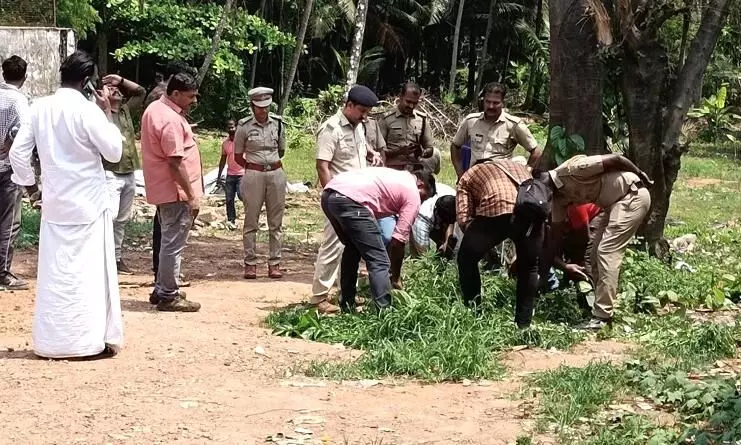 രാമനാട്ടുകരയിൽ ആളൊഴിഞ്ഞ പറമ്പിൽ കഞ്ചാവ് കൃഷി കണ്ടെത്തി രാമനാട്ടുകരയിൽ ആളൊഴിഞ്ഞ പറമ്പിൽ കഞ്ചാവ് കൃഷി