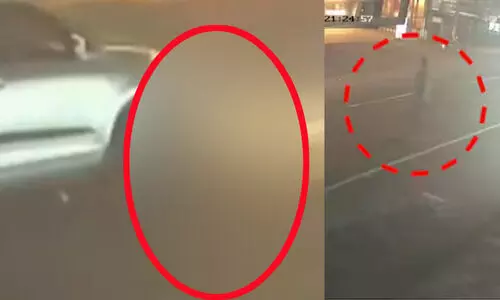 പൂച്ചയെ രക്ഷിക്കാൻ റോഡിലിറങ്ങിയ യുവാവ് കാറിടിച്ച് മരിച്ചു