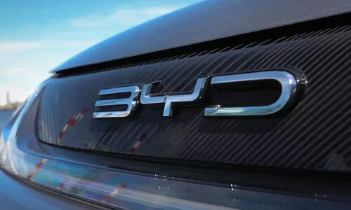 ചൈനീസ് വാഹന നിർമാണ കമ്പനിക്ക് ഇന്ത്യയിൽ വിലക്ക്; ലക്ഷ്യം ടെസ്‌ലയുടെ വളർച്ചയോ?