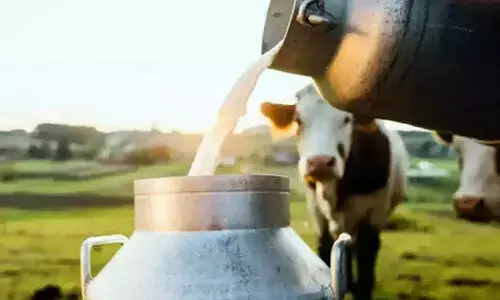 പാൽവില വർധിപ്പിക്കാൻ നീക്കം