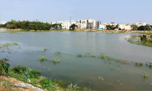 ചൂ​ഢ​സാ​ന്ദ്ര ത​ടാ​കം ന​വീ​ക​രി​ക്കു​ന്നു