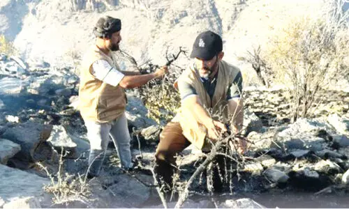 ജ​ബ​ൽ അ​ഖ്ദ​ർ പ്ര​ദേ​ശ​ത്തെ തീ ​നി​യ​ന്ത്ര​ണ​വി​ധേ​യം