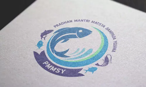 പദ്ധതി രൂപരേഖ ഒരുങ്ങുന്നു; കരിമീൻ ക്ലസ്റ്ററായി കൊല്ലം