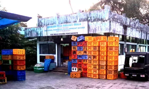 മാ​ള​യി​ലെ ആ​ധു​നി​ക മ​ത്സ്യ മാ​ര്‍ക്ക​റ്റ് അ​ട​ച്ചു;  പെ​രു​വ​ഴി​യി​ൽ ക​ച്ച​വ​ട​ക്കാ​ർ